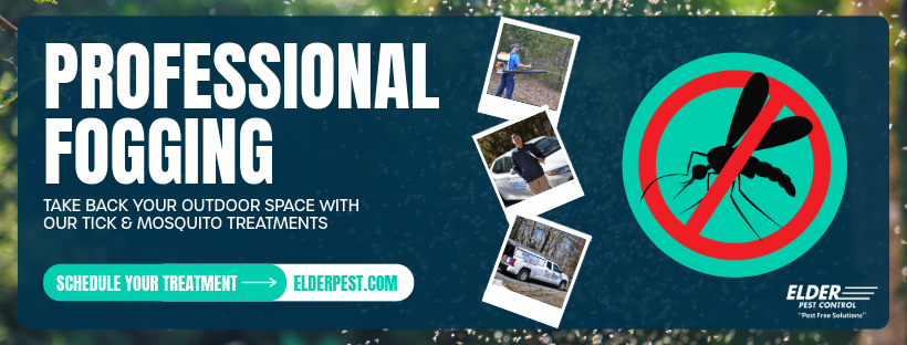 mosquito fogging graphic and call to action