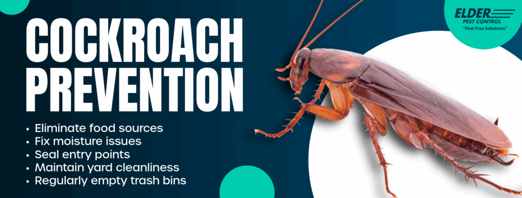 cockroach prevention tips