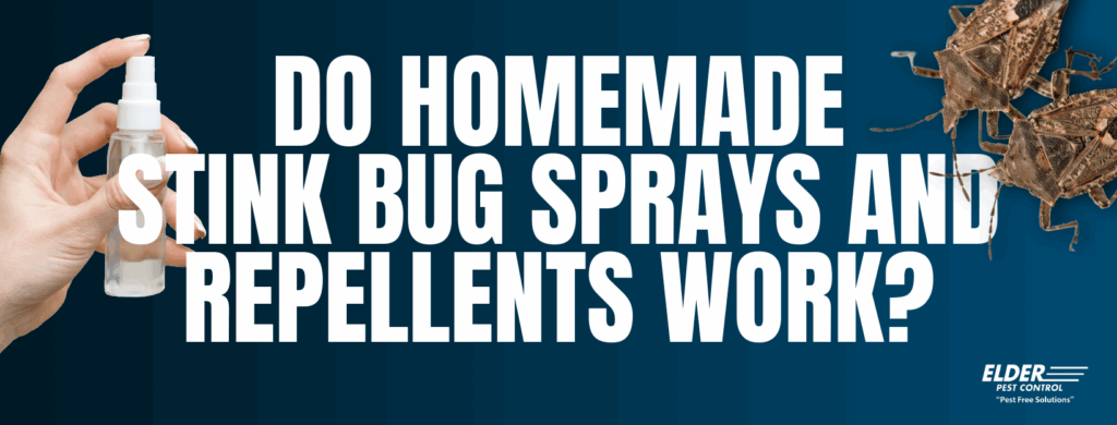 do stink bug sprays work graphic