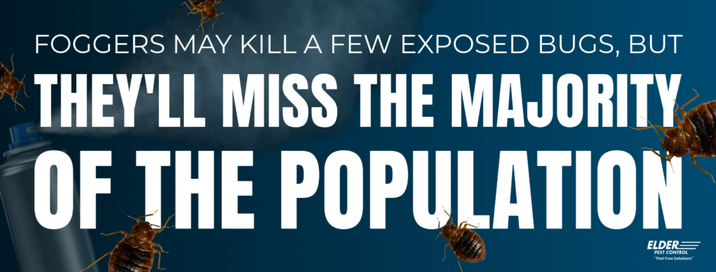 foggers won't kill the majority of bed bugs graphic