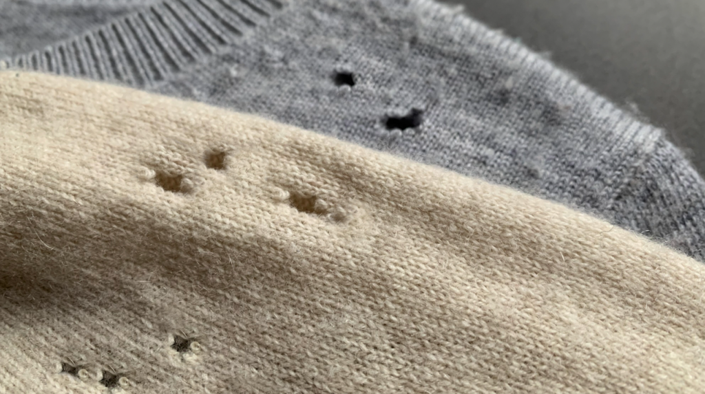 sweaters with holes from moths and/or carpet beetles