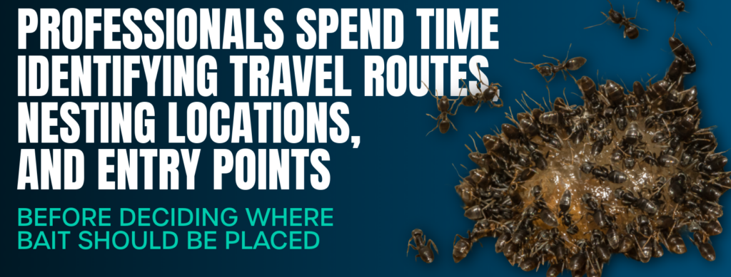 how professionals place ant bait stations